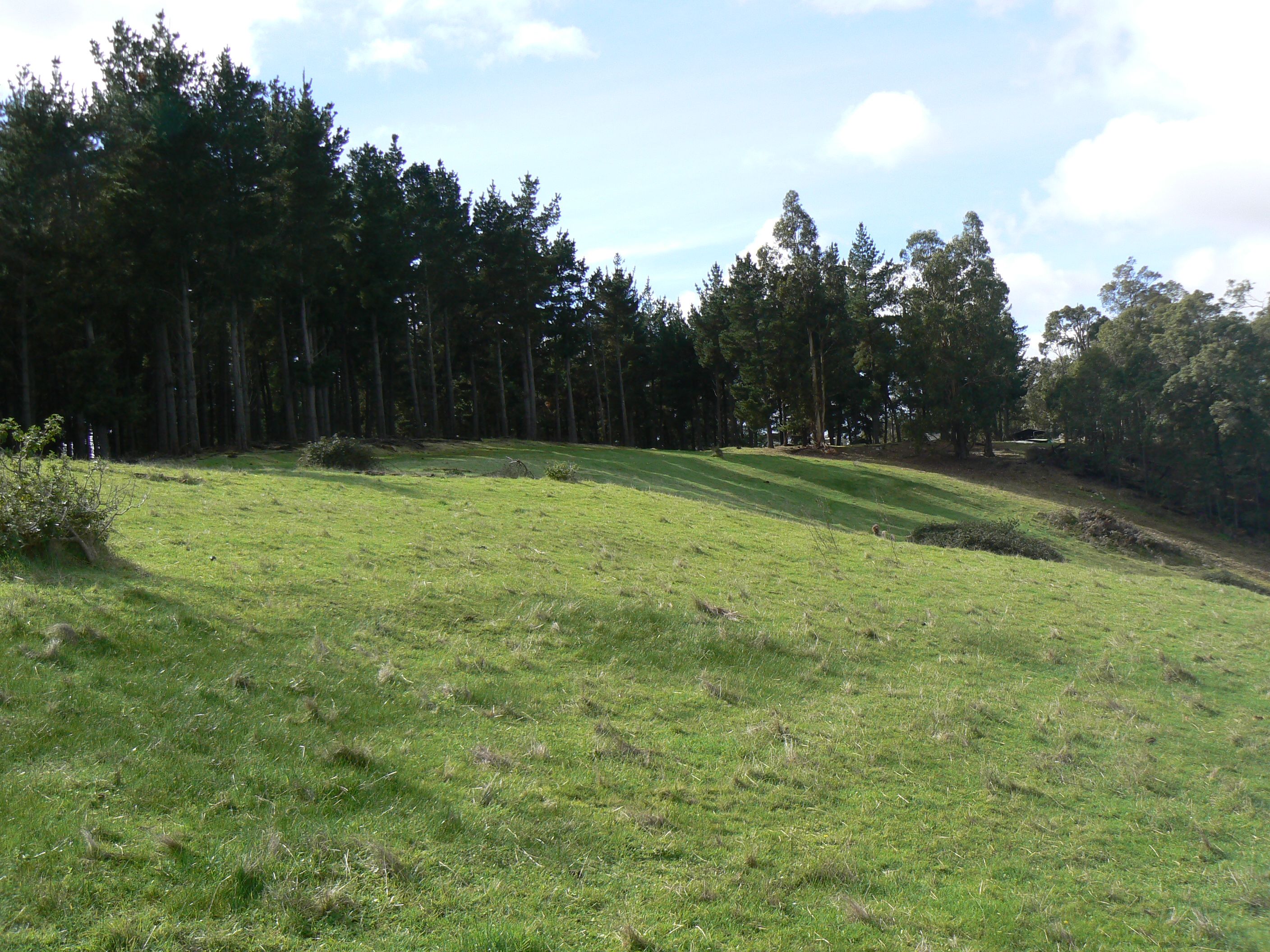 Real Estate For Sale Lot 2 Upper Capel Road Upper Capel , WA