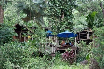Bloomfield Lodge – where rainforest meets the reef