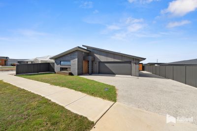 6 Pepik Street, Hawley Beach, Hawley Beach - Thumbnail 5