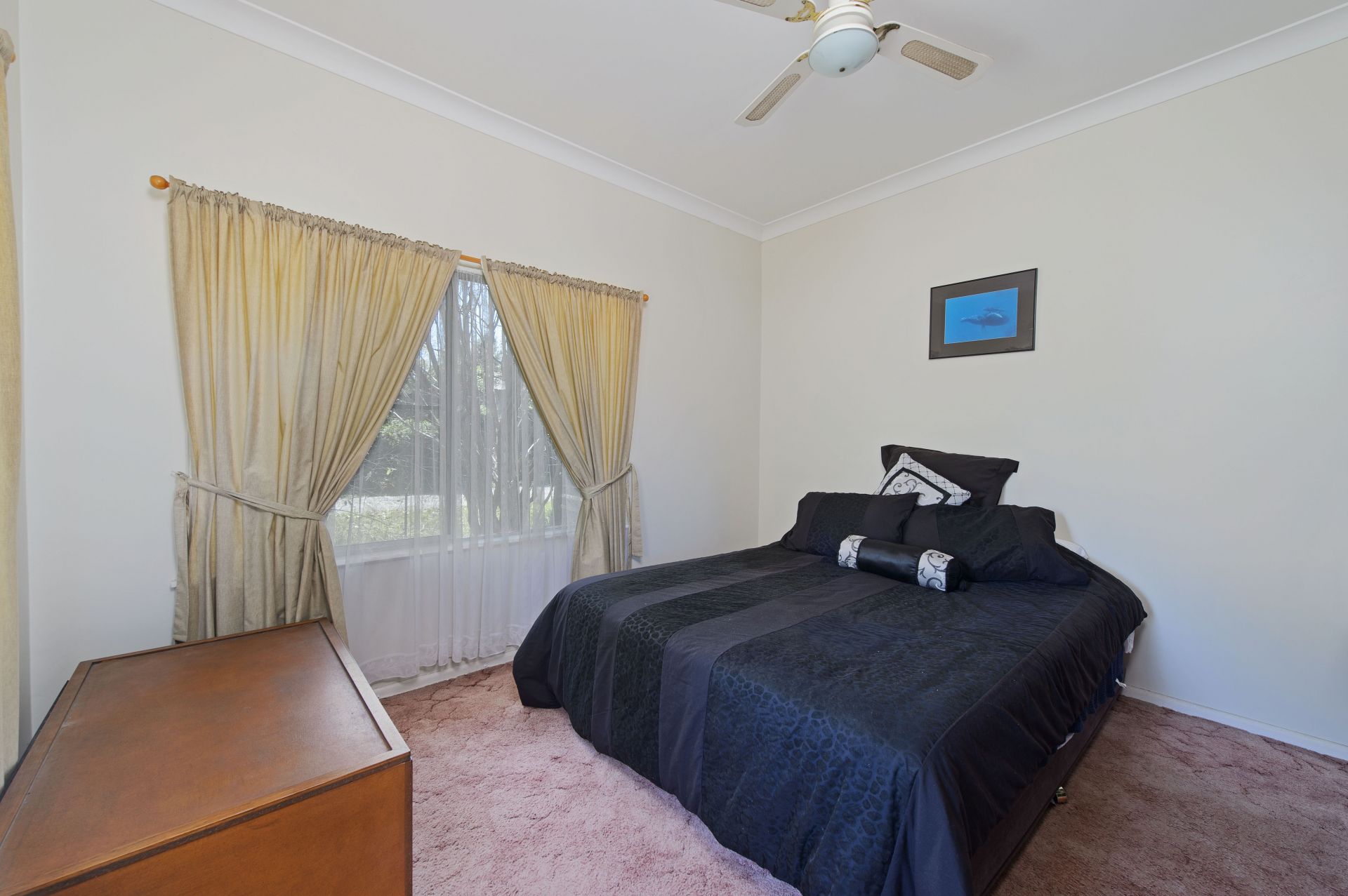 9 Allan Road Wauchope NSW, Wauchope - Thumbnail 7