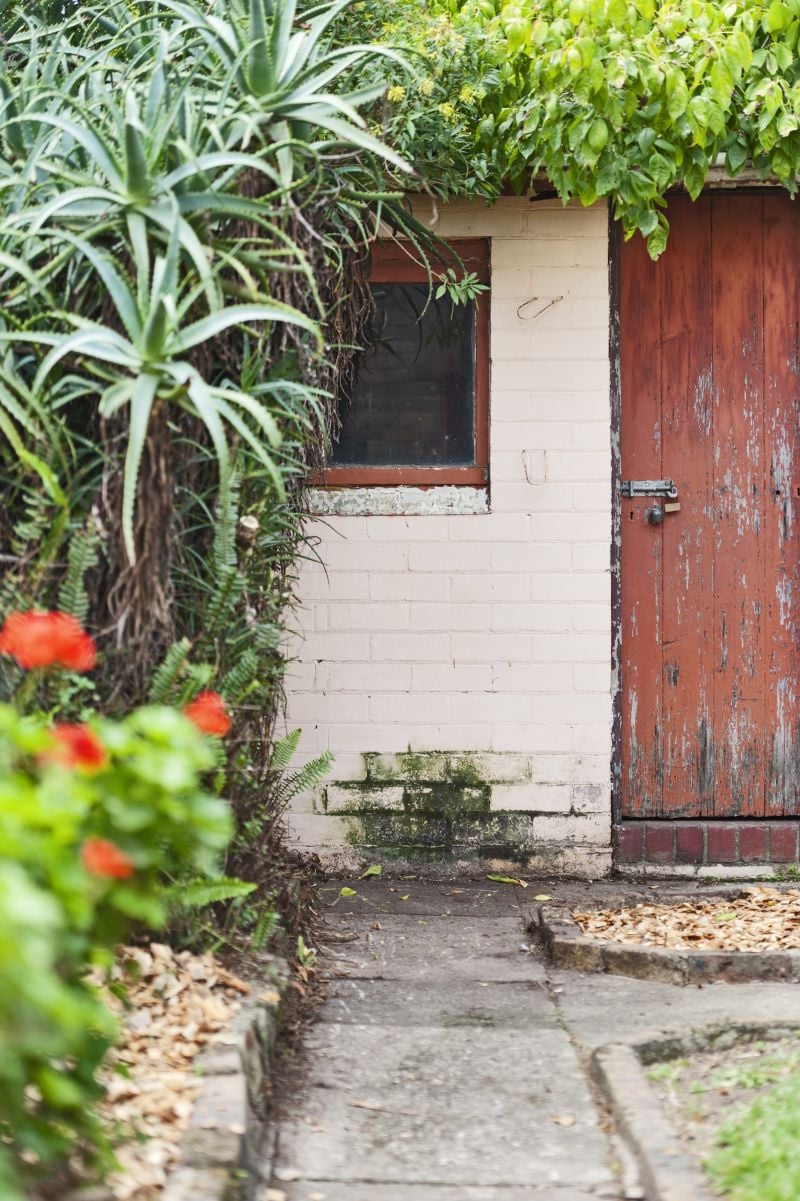 39 Elswick Street, Leichhardt