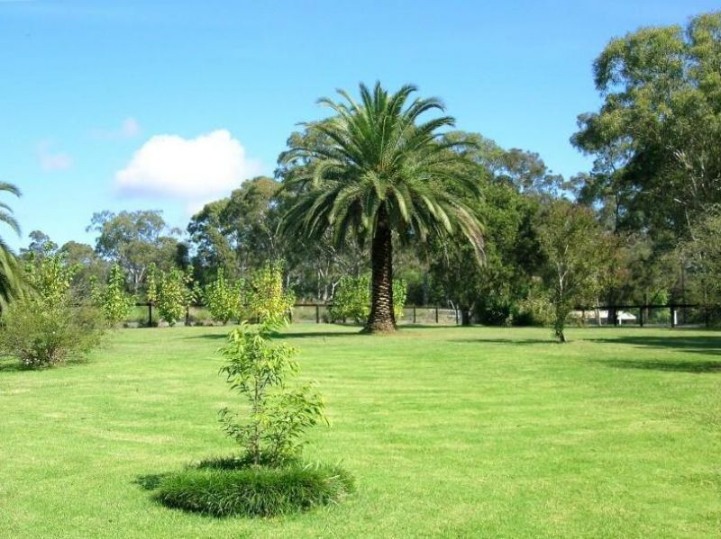 96 Fisher Road, Maraylya - Thumbnail 4