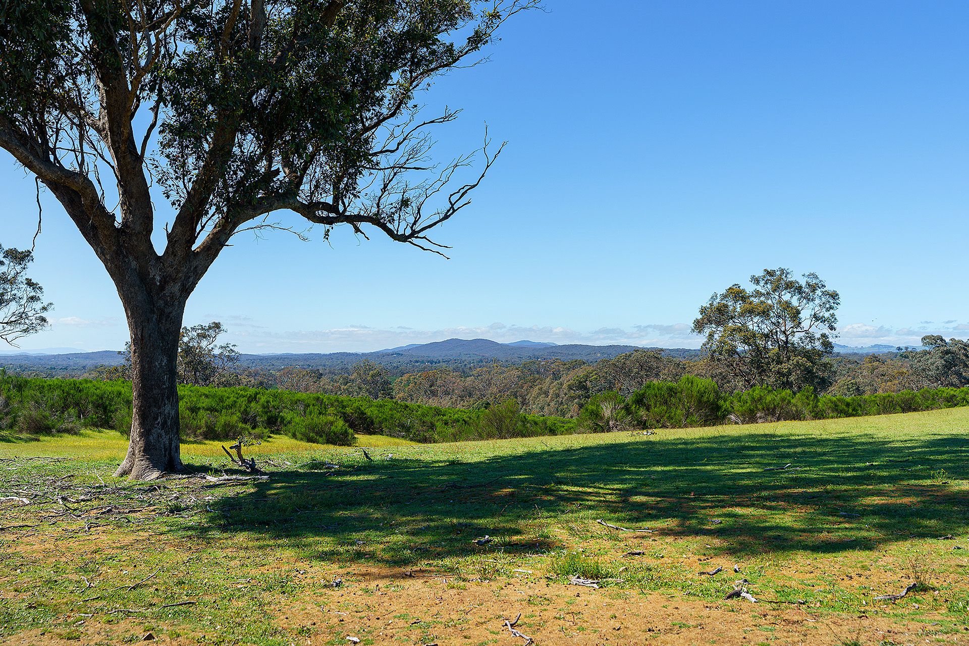 Real Estate For Sale Lot 2H/ Hylands Lane Heathcote , VIC
