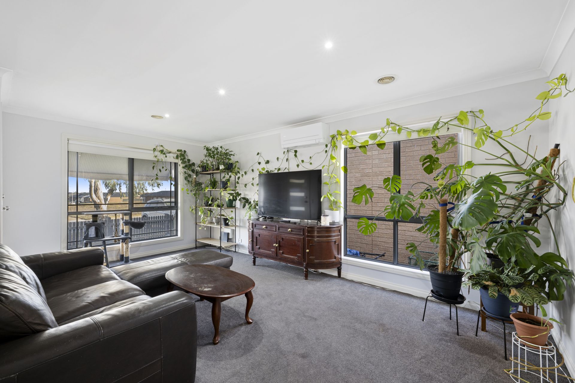 224 Walker Street, Sebastopol, Sebastopol - Thumbnail 5