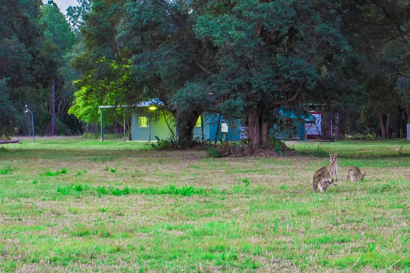 Real Estate For Sale 267 Fraser Road Beerwah , QLD