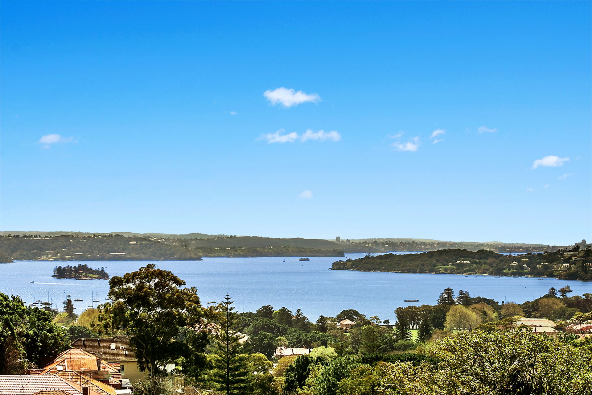 82 Bundarra Road, Bellevue Hill, Bellevue Hill - Thumbnail 8