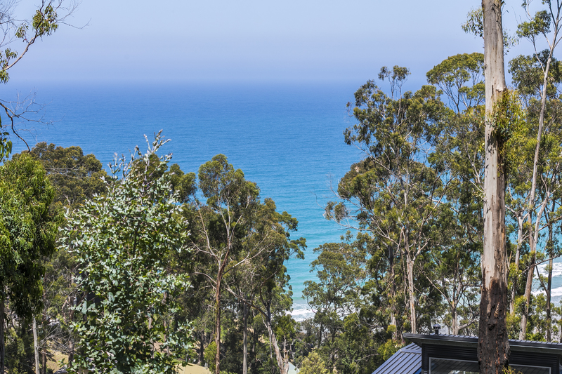 63 Karingal Drive, Wye River, VIC, Wye River - Thumbnail 2