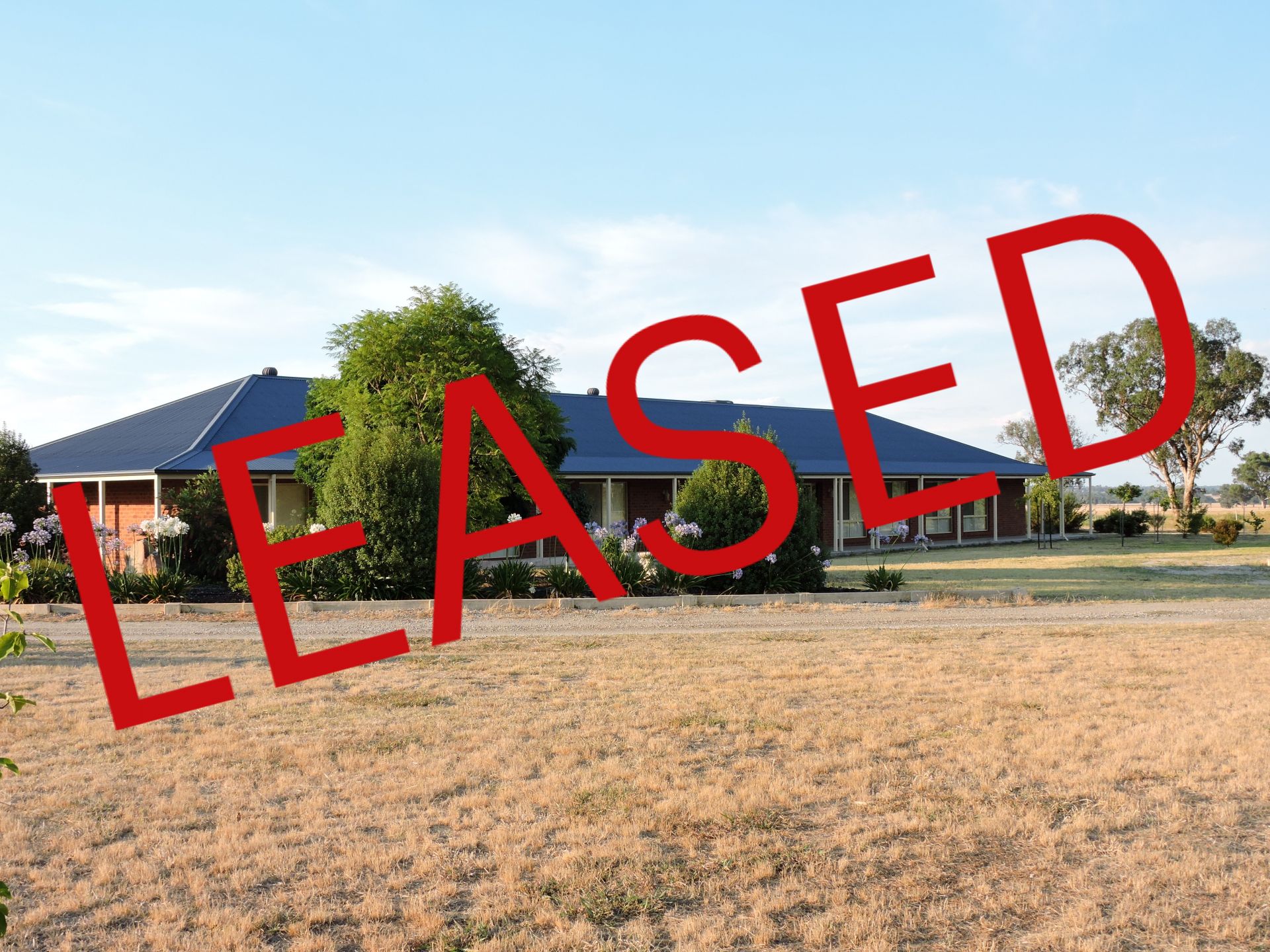 787 Gerogery Road, Table Top Kane Real Estate