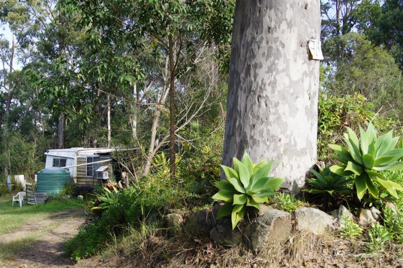 Real Estate For Sale 319 Dirty Creek Road Dirty Creek , NSW