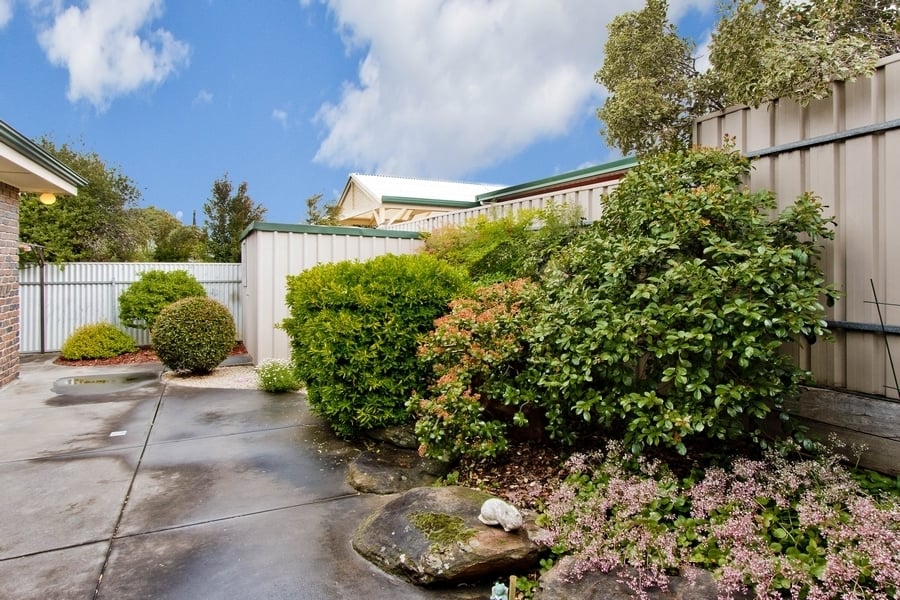 21 Olive Street Magill 5072