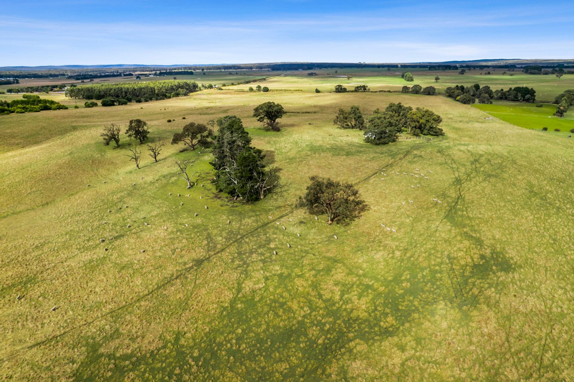 $ 950,000, Ballarat-Carngham Road, Snake Valley - Thumbnail 7