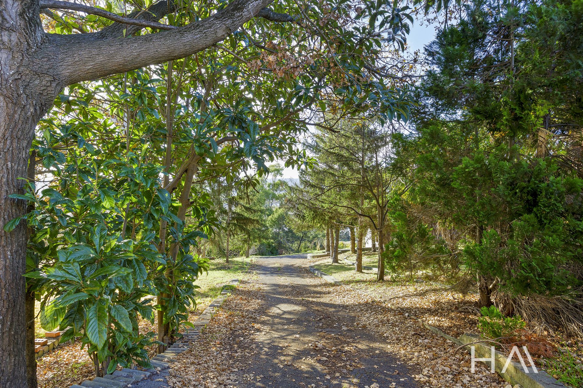 66 Forest Road Trevallyn, Trevallyn - Thumbnail 8