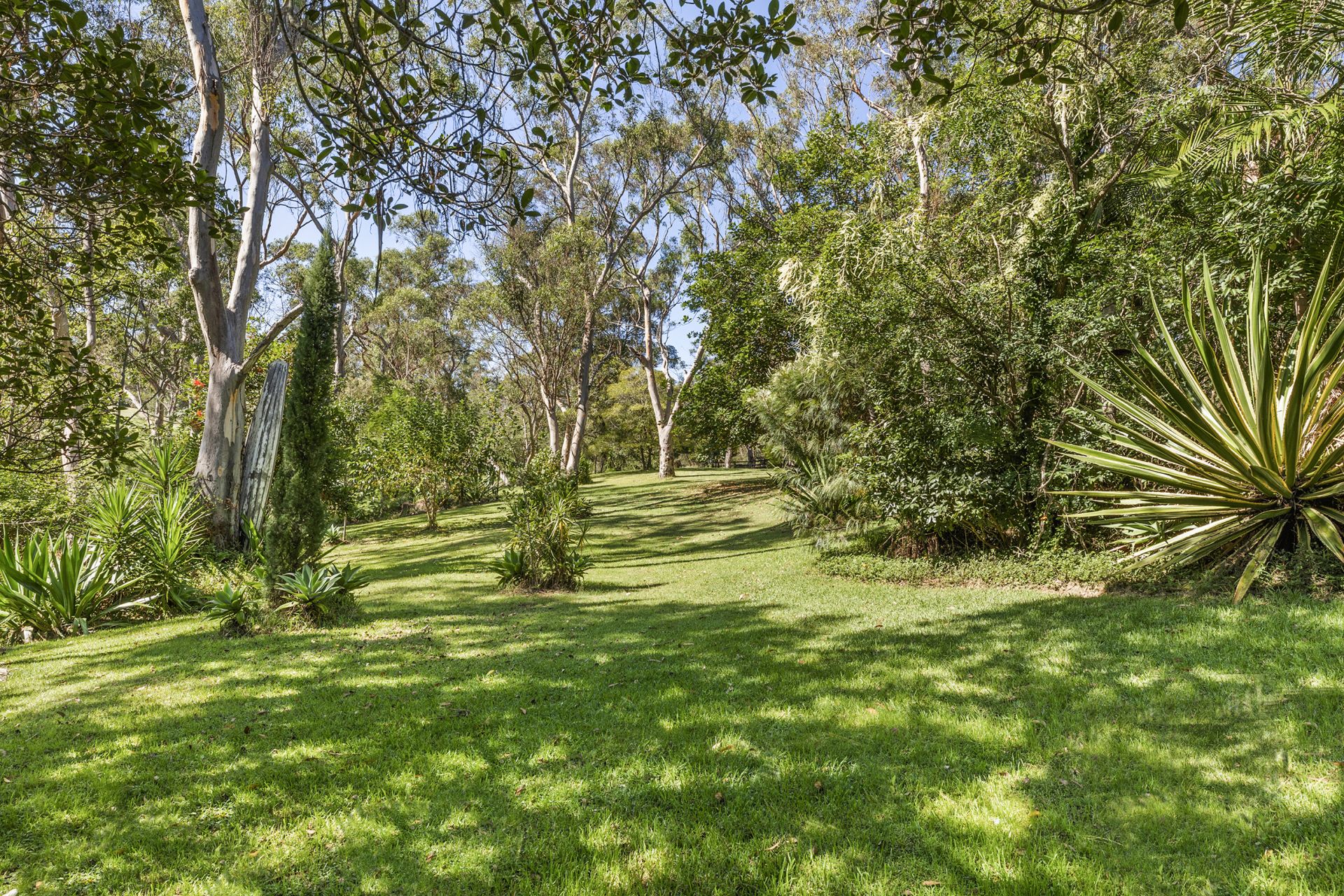 2 Wandarri Road Kenthurst NSW, Kenthurst - Thumbnail 6