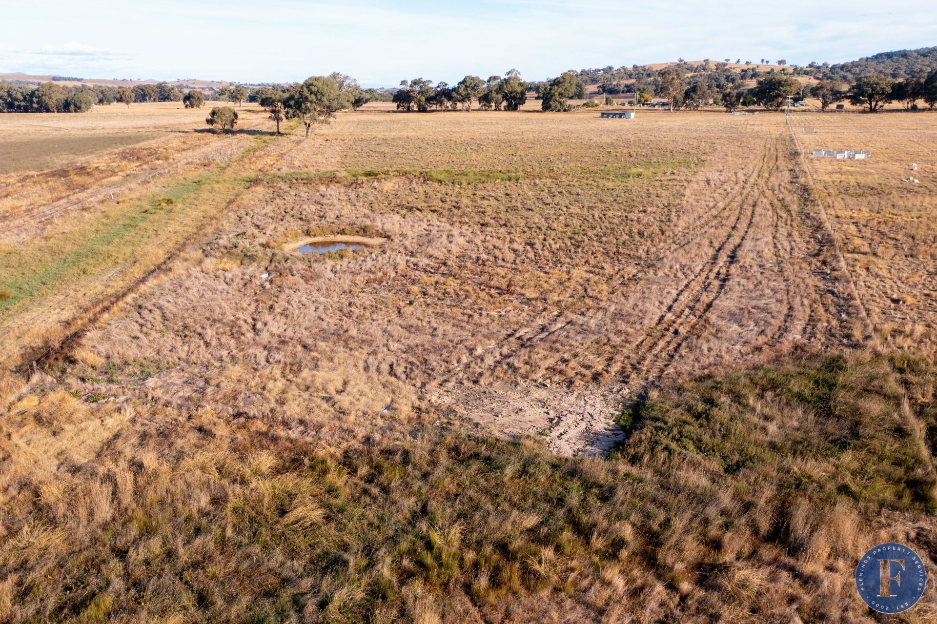 405 Back Brawlin Road, Cootamundra NSW, Cootamundra - Thumbnail 6