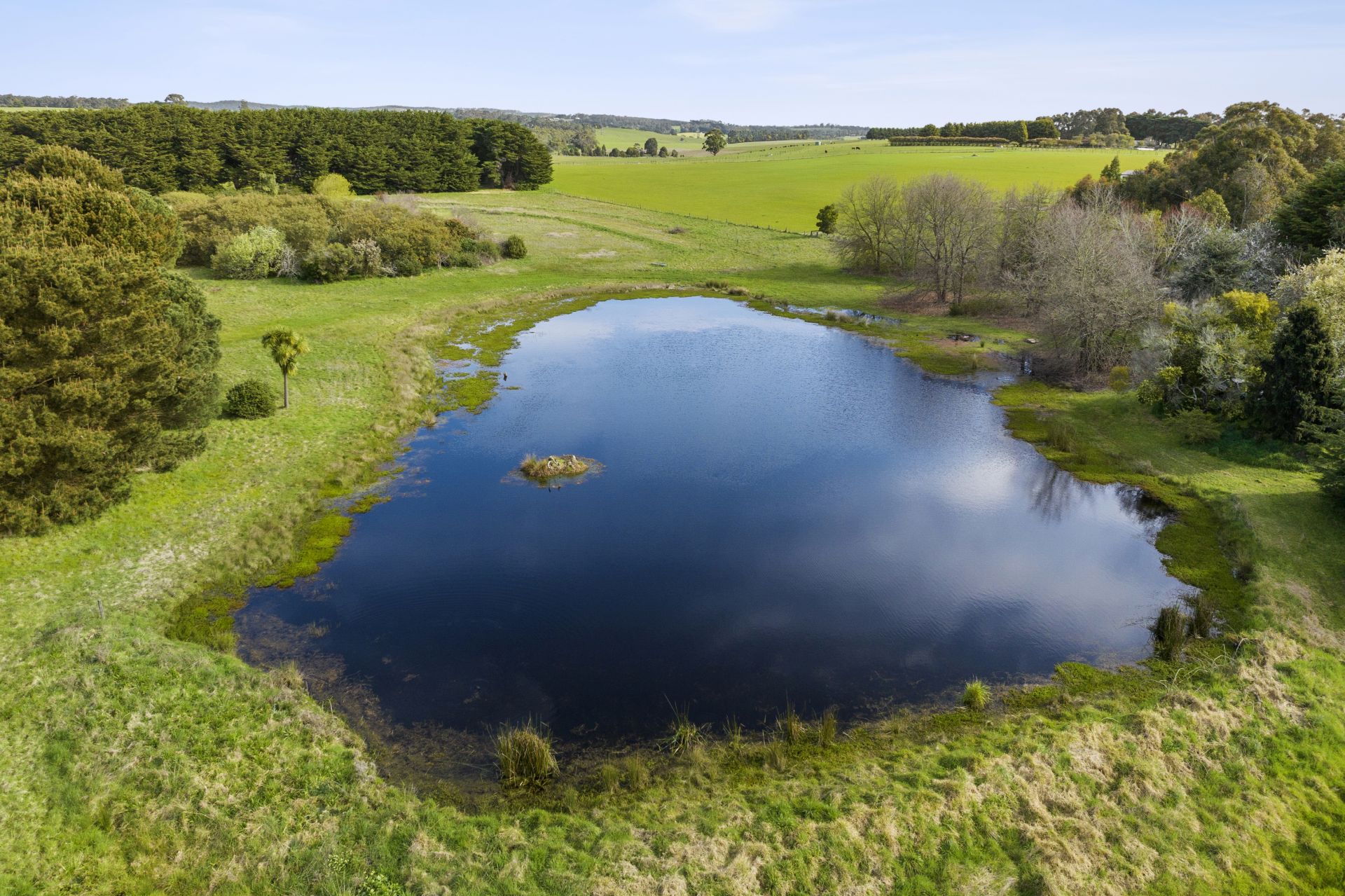 Real Estate For Sale 1390 BirregurraDeans Marsh Road Deans Marsh , VIC