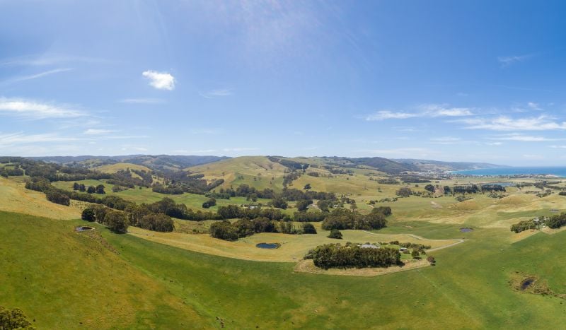 275 Barham River Road, Apollo Bay, VIC, Apollo Bay - Thumbnail 4