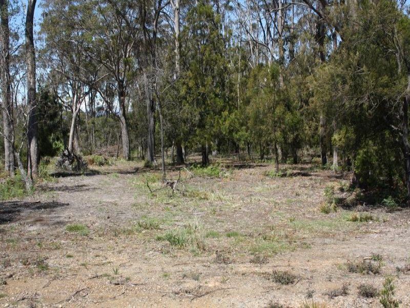 Lot 13 Port Sorell Main Road, PORT SORELL, Port Sorell - Thumbnail 8