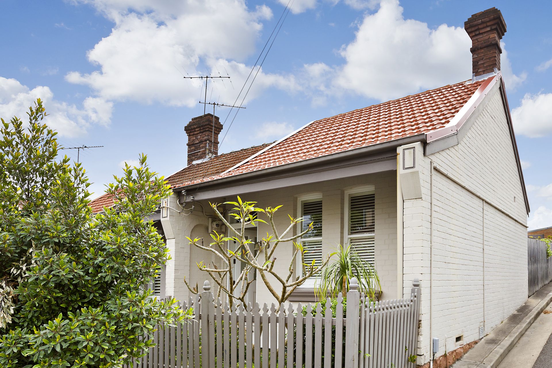 3 Toelle Street Rozelle NSW 2039 House for Rent 4863607 CobdenHayson