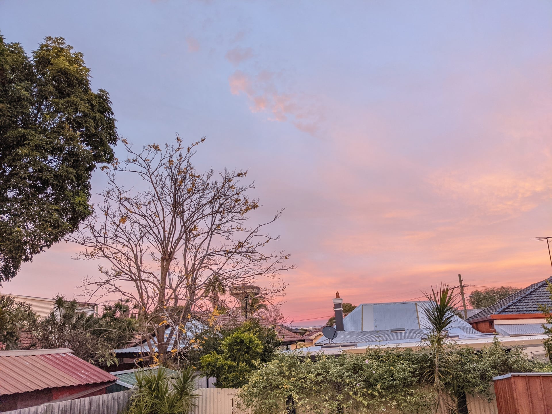 54 Fanning Street, TEMPE, Tempe - Image 1