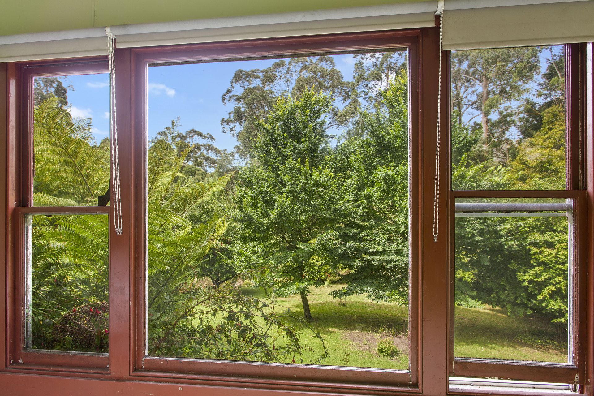 605 Barham River Road, Apollo Bay - Thumbnail 4