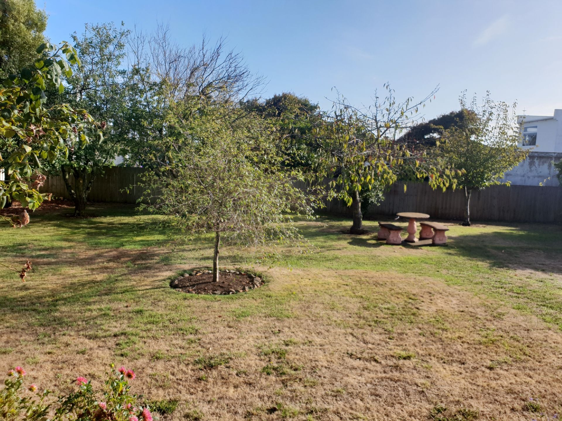 6 Malunnah Close, Devonport