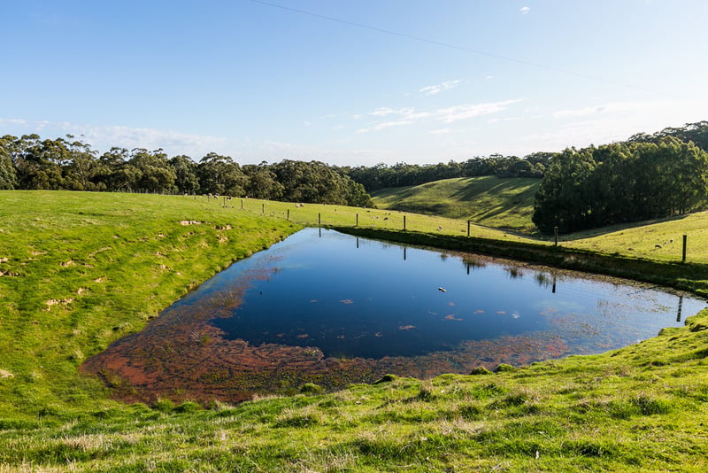 1095 Bambra-Boonah Road, Boonah, VIC, Boonah - Thumbnail 4