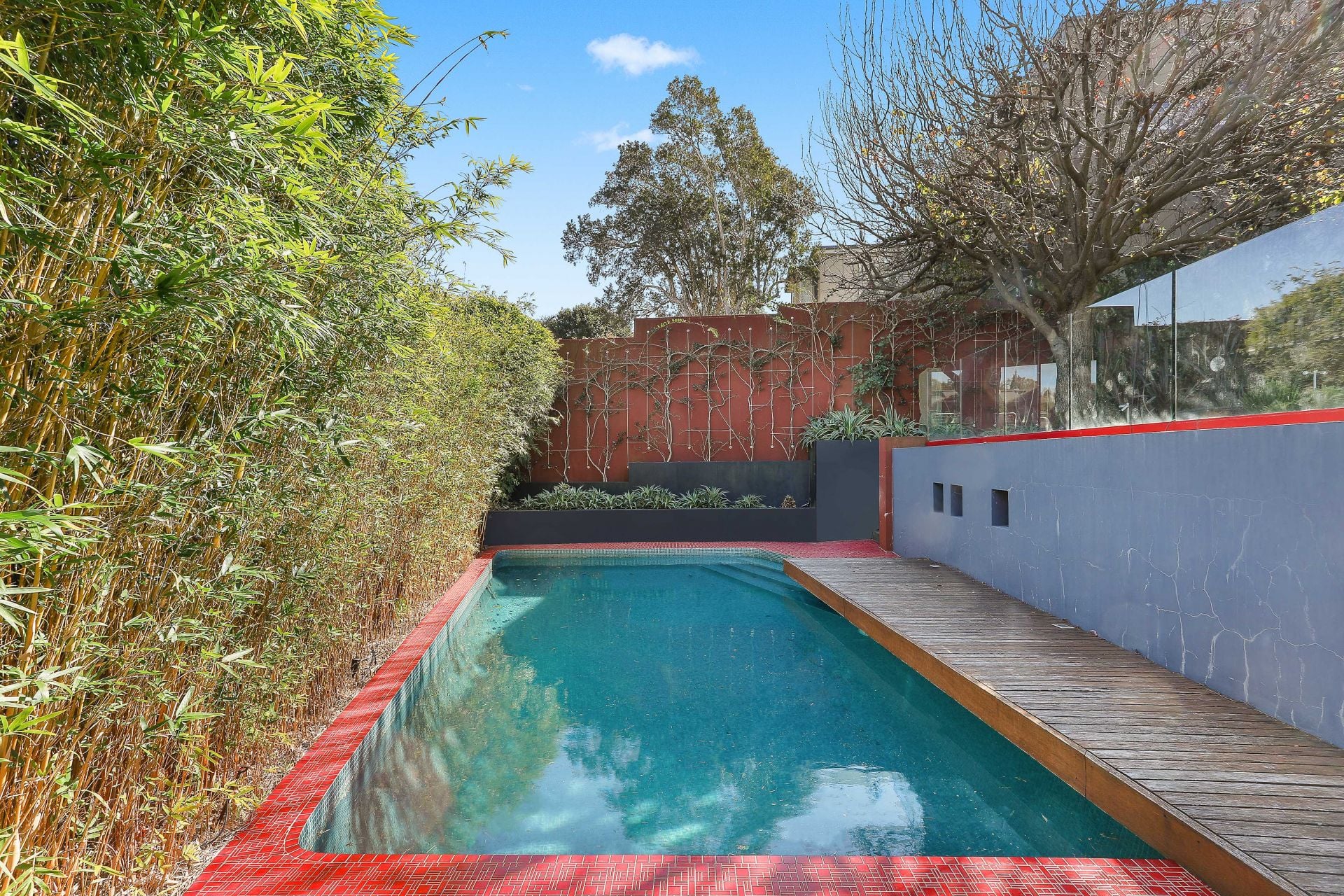 12 Bulkara Road, Bellevue Hill, Bellevue Hill - Thumbnail 7