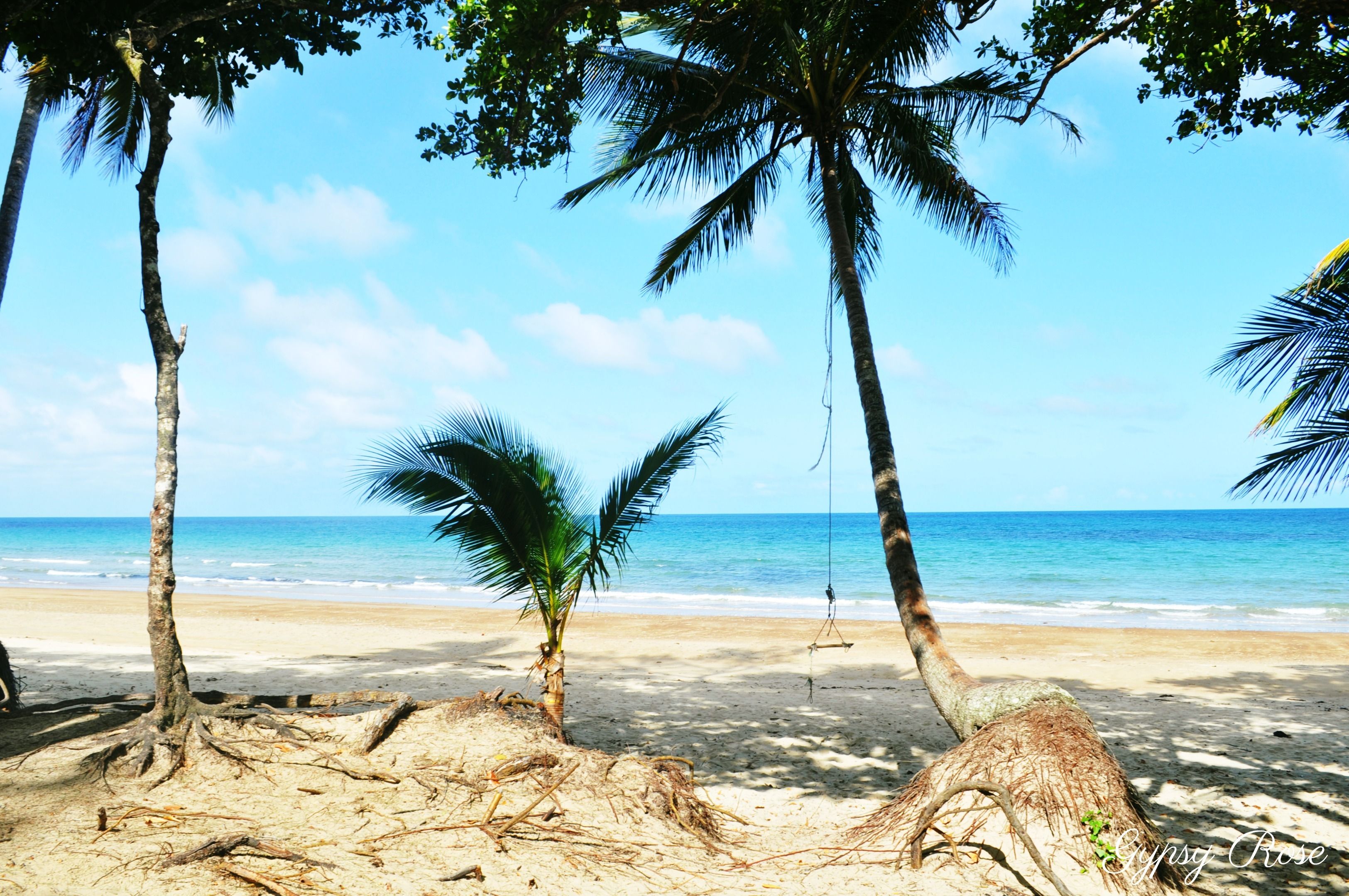 Real Estate For Sale 16 Spurwood Road Cow Bay , QLD