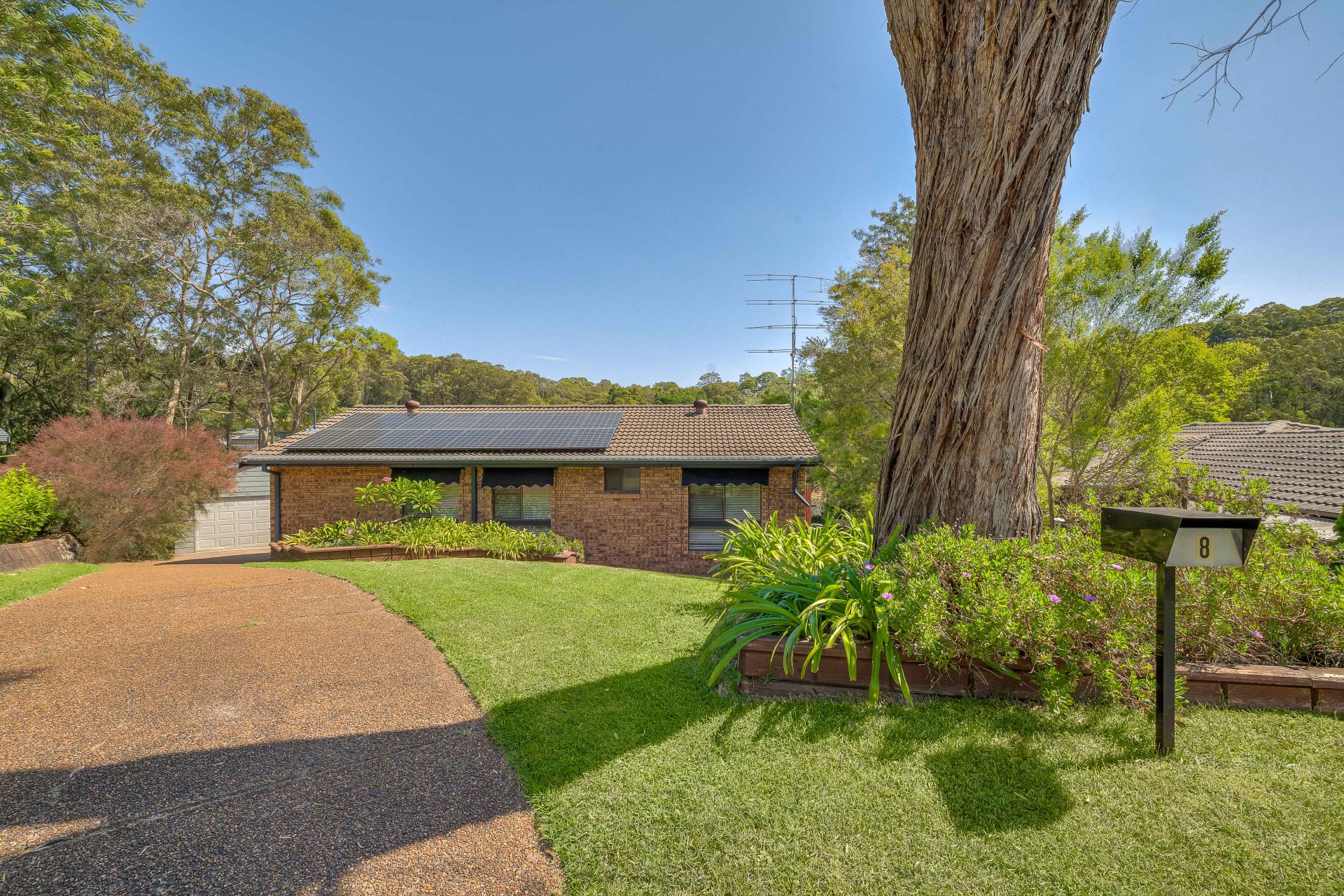 8 Dunston Close New Lambton Heights NSW, 8 Dunston Close New Lambton Heights - Thumbnail 4