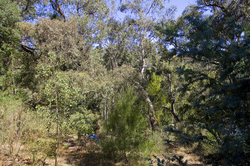 2/6 George Street, Lorne, VIC, Lorne - Thumbnail 3