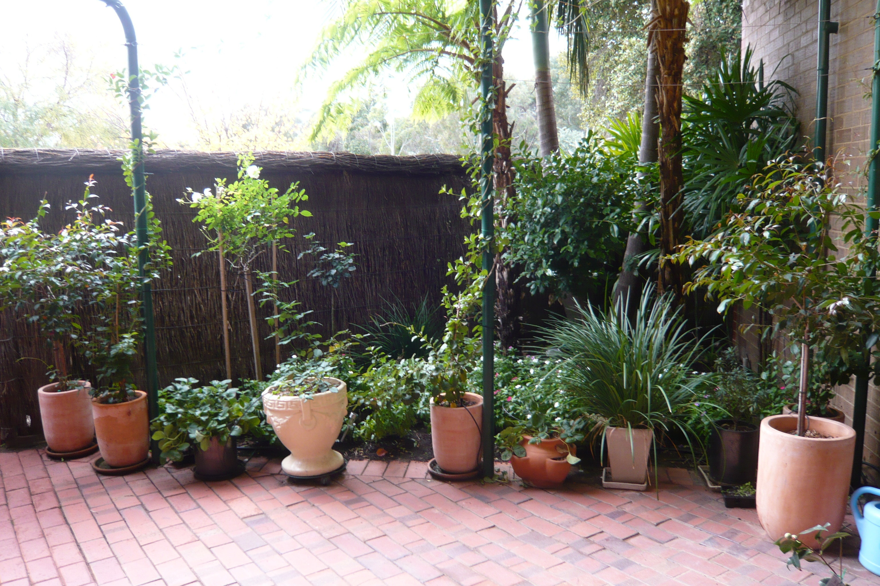 1/387 Halifax Street Adelaide 5000