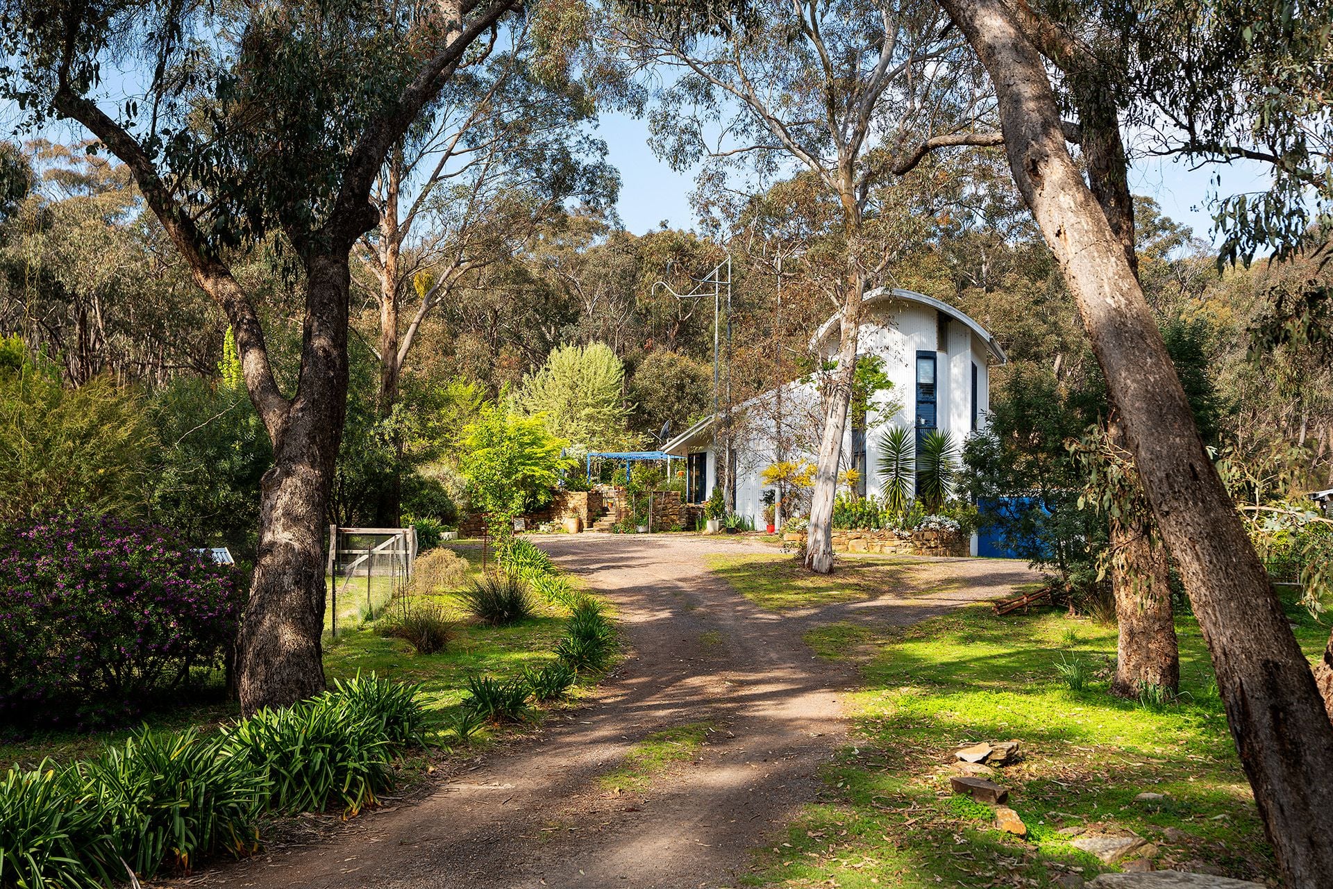 409 White Gum Track, Fryerstown - Thumbnail 2