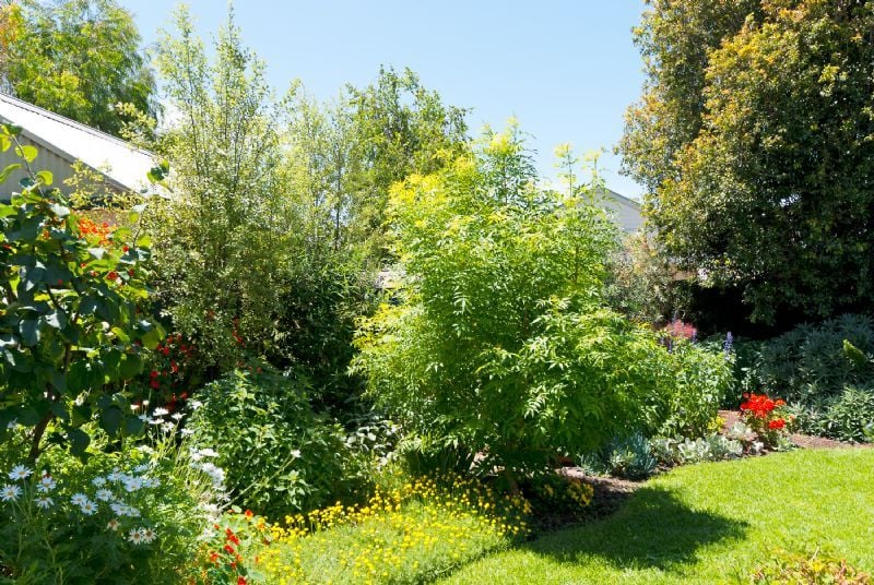 51 Blandford Street, West Footscray - Thumbnail 8
