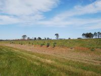 CA19/ Sec 1 Munro-Stockdale Road, MUNRO VIC, Munro - Image 1