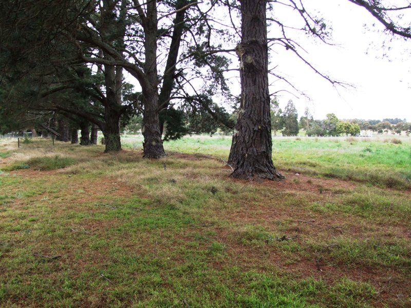 31 Pykes Creek Road, Myrniong - Thumbnail 8