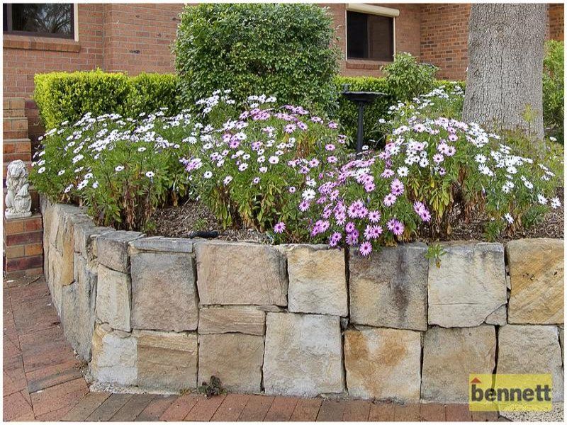 381 Castlereagh Road, Agnes Banks - Thumbnail 4