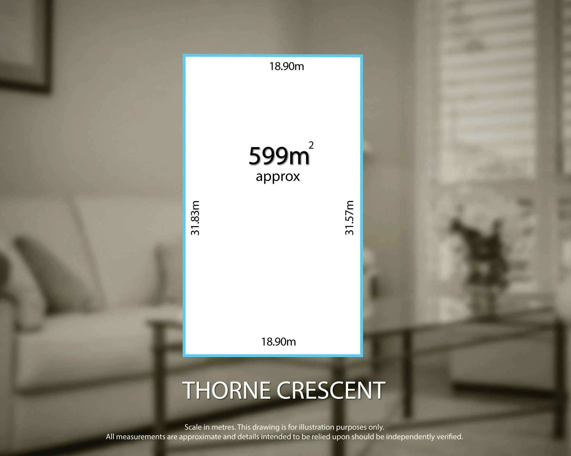 12 Thorne Crescent Mitchell Park SA, Mitchell Park - Thumbnail 4
