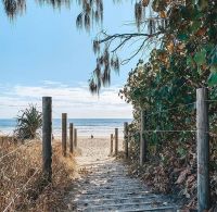 1/10 Tranquil Place Alexandra Headland QLD, Alexandra Headland - Thumbnail 4