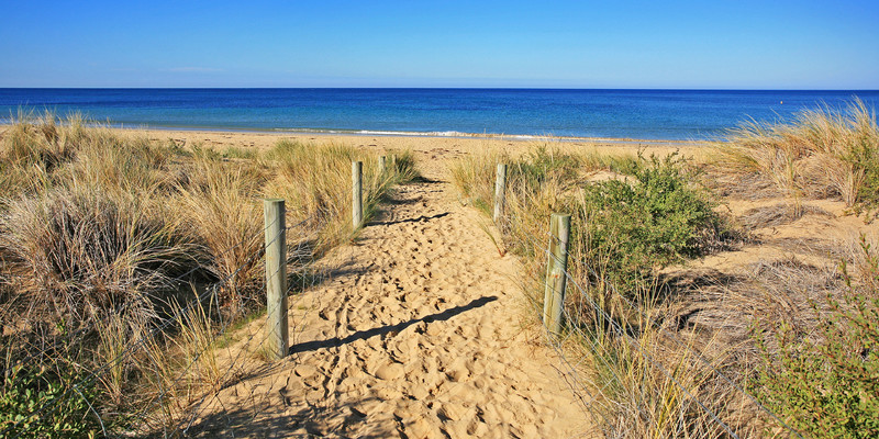 9 Brumby Drive , Torquay, VIC, Torquay - Thumbnail 8