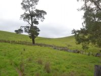 EDI UPPER VIC, Edi Upper - Image 1