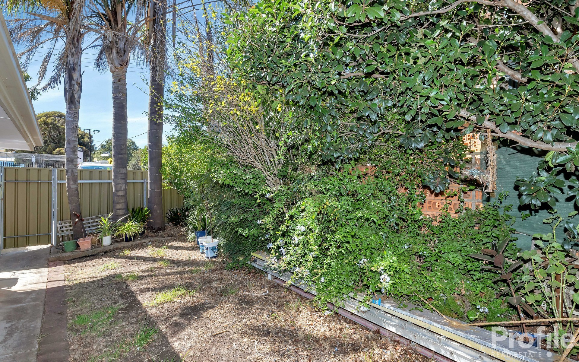 1/66 Glen Stuart Road Magill 5072