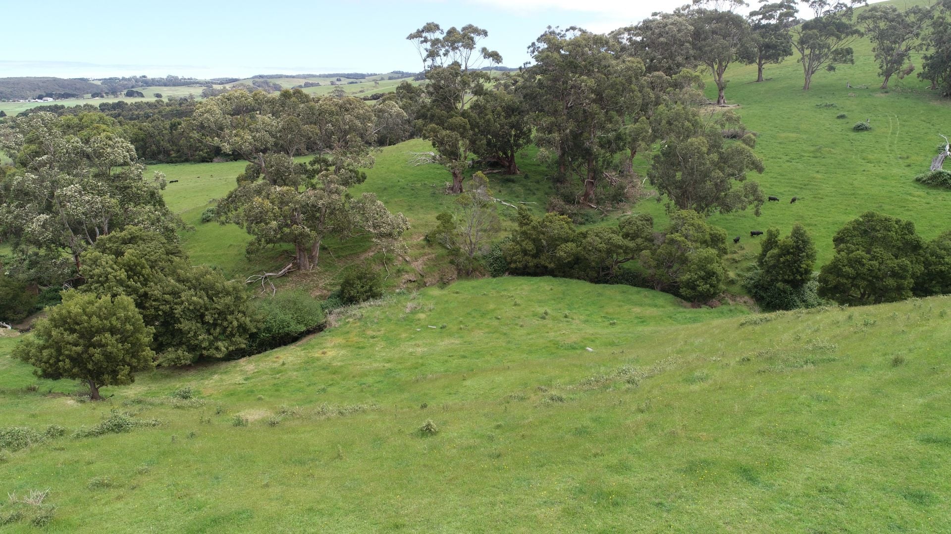 33 Tuxion Road, Apollo Bay - Thumbnail 7