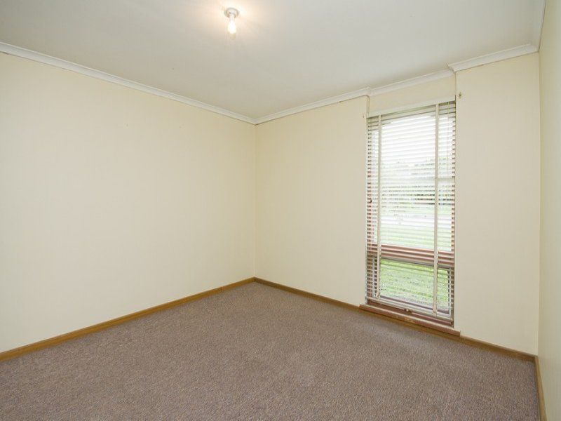 20 Andrea Street Highbury 5089
