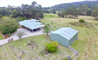 25 Lawrence Avenue, Acacia Hills, Acacia Hills - Thumbnail 2
