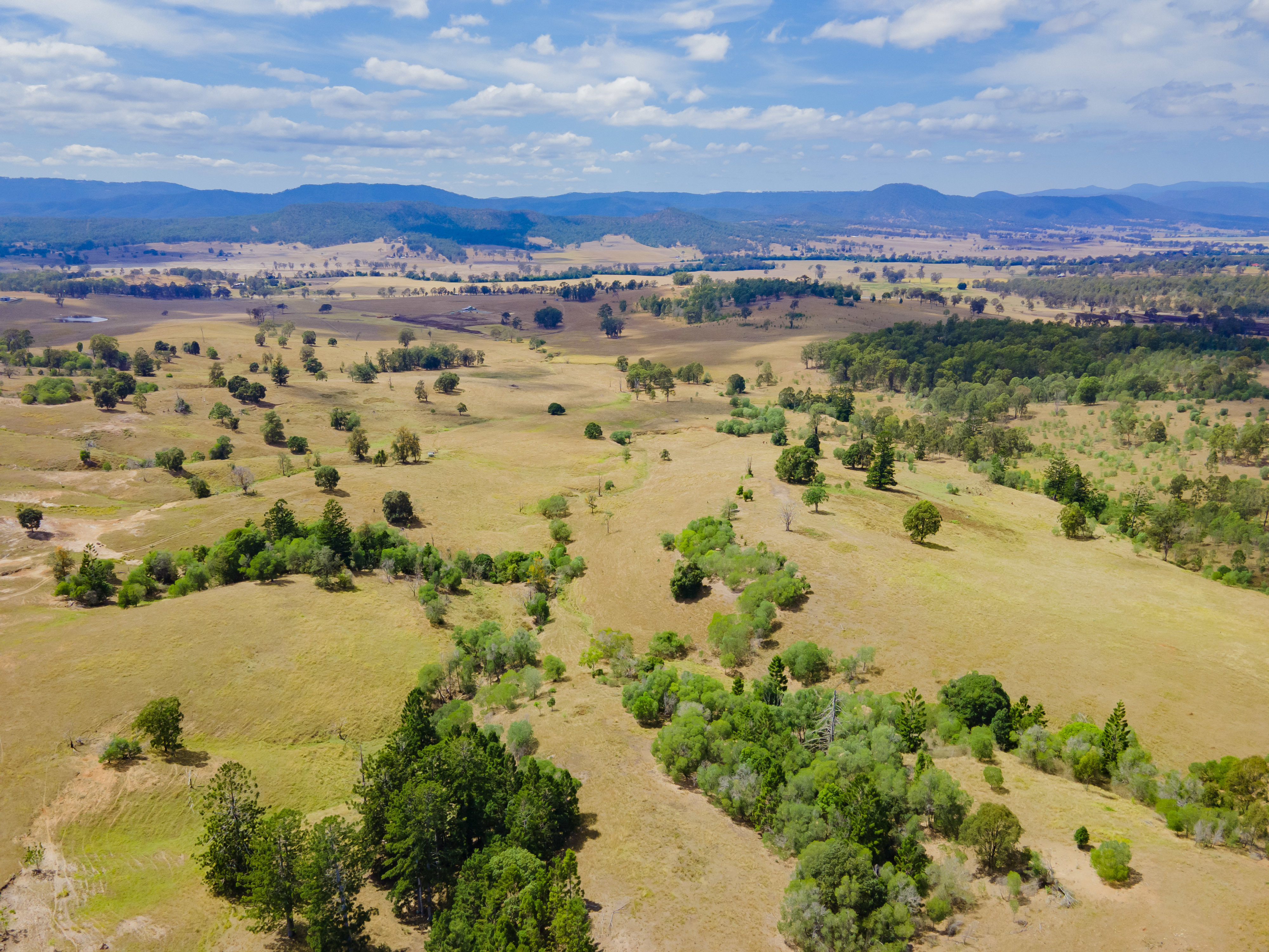 Real Estate For Sale 236 Birnam Range Road Beaudesert , QLD