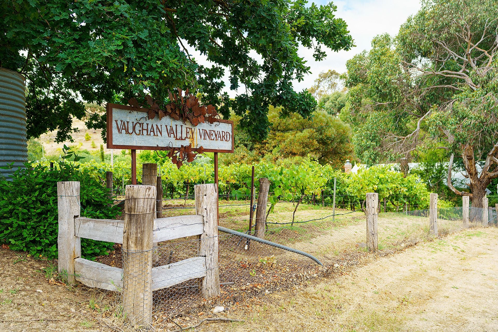 25 Burgoyne Street Vaughan, Vaughan - Thumbnail 3