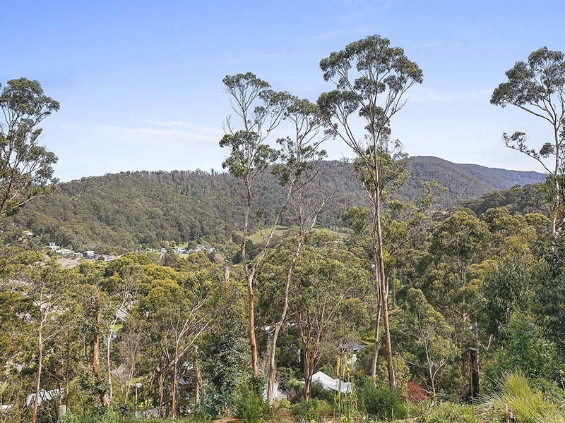 15 Dunoon Road, Wye River, VIC, Wye River - Thumbnail 7