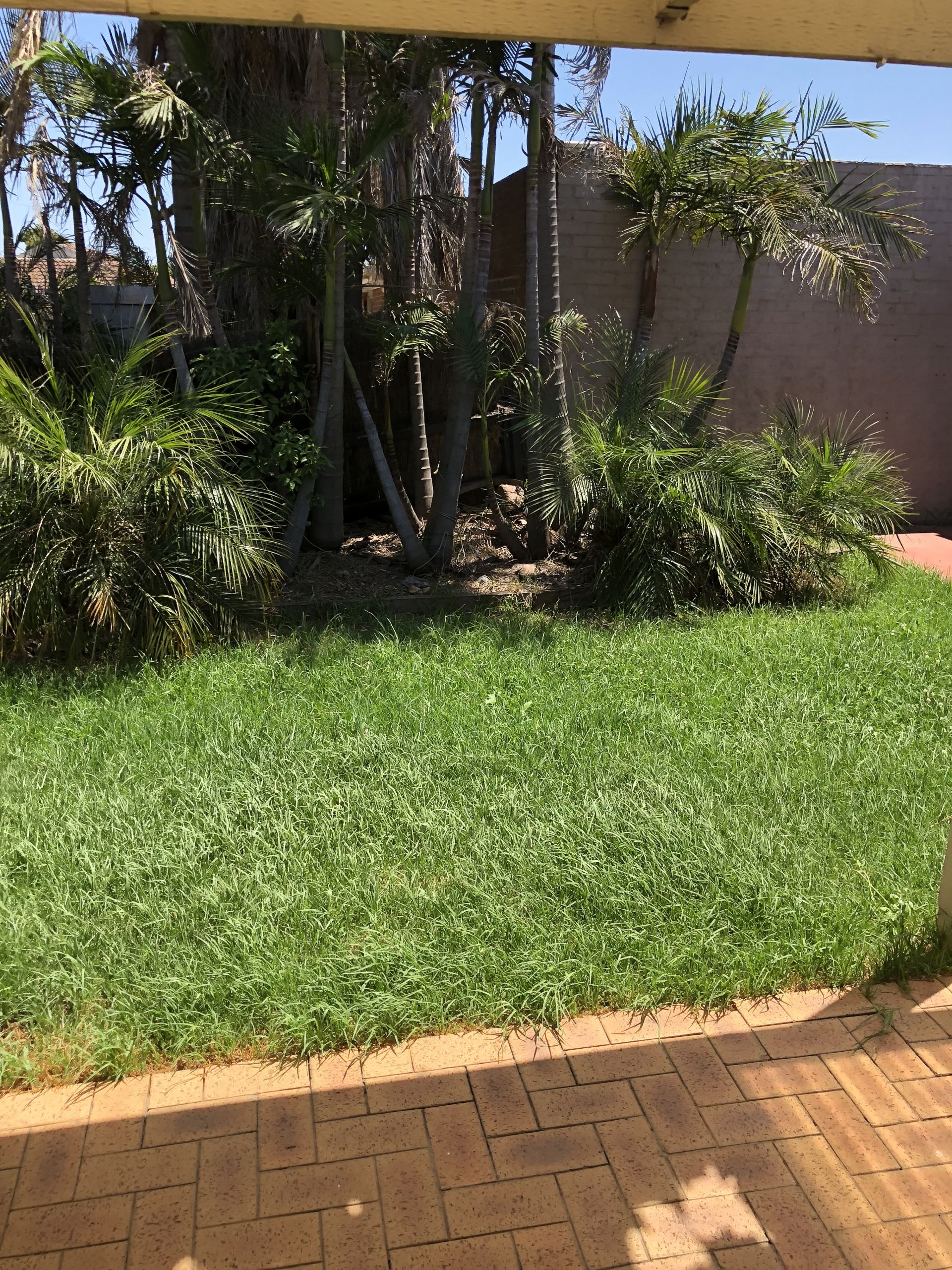 Your Tropical Oasis in Suburbia!