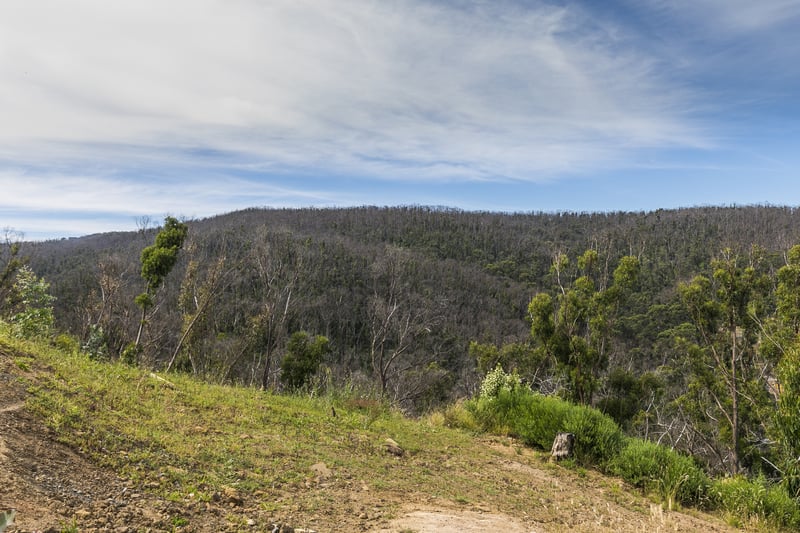 9 Dunoon Road, Wye River, VIC, Wye River - Thumbnail 5