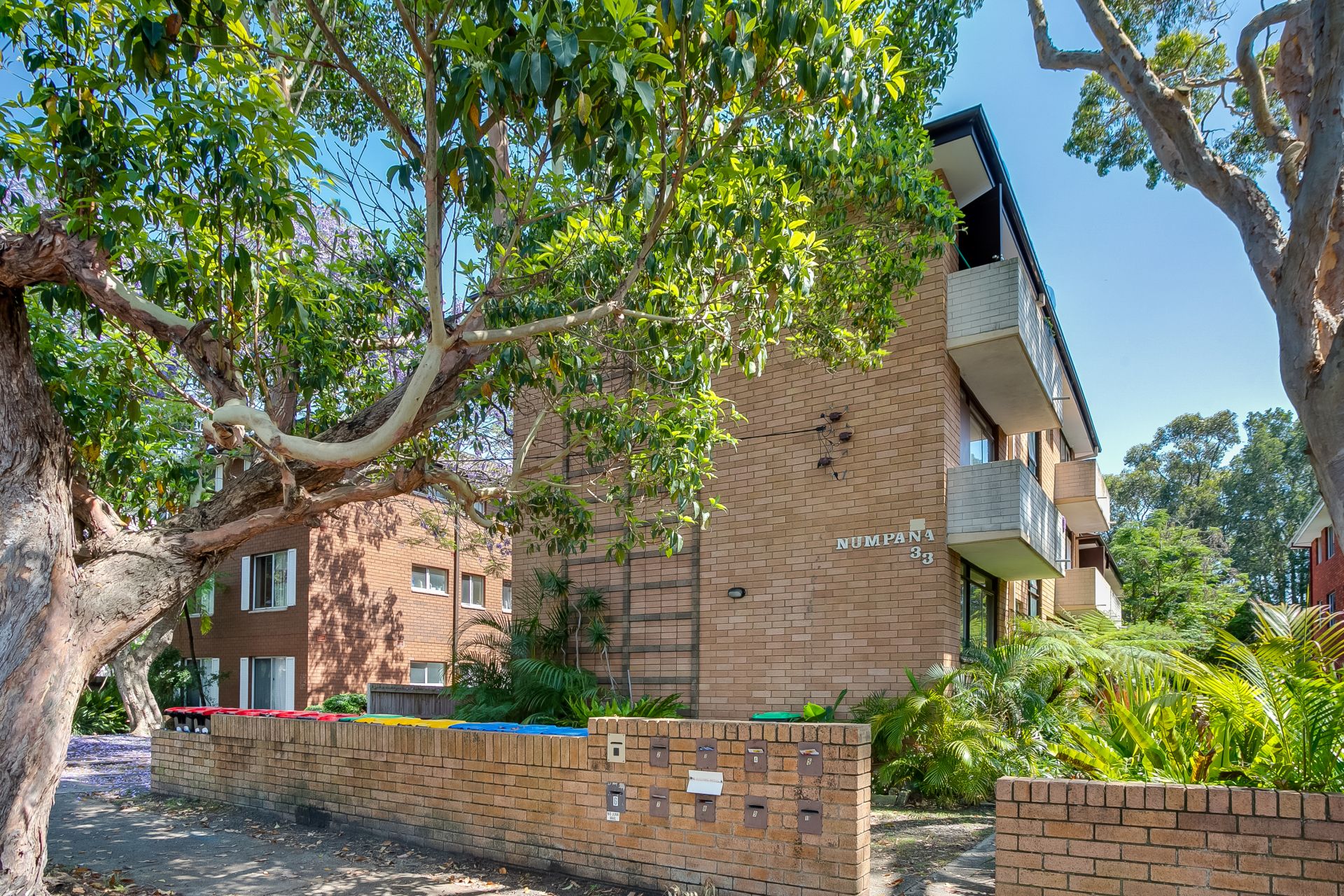 Real Estate For Lease 3/33 Lismore Avenue Dee Why , NSW